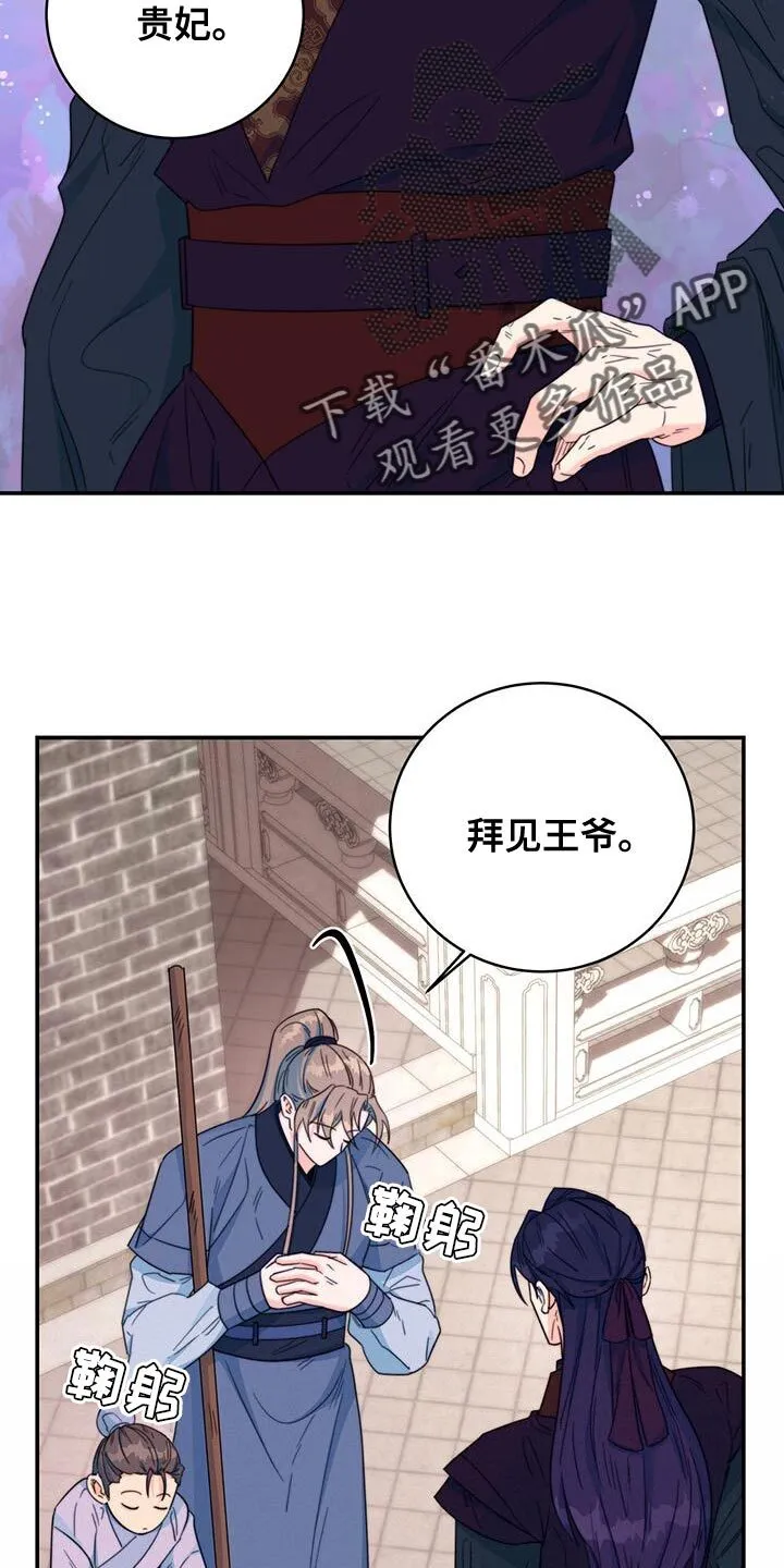 第31章：比武 第8页
