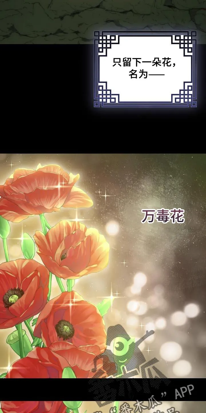 第67章：【第二季】很严重的伤 第3页