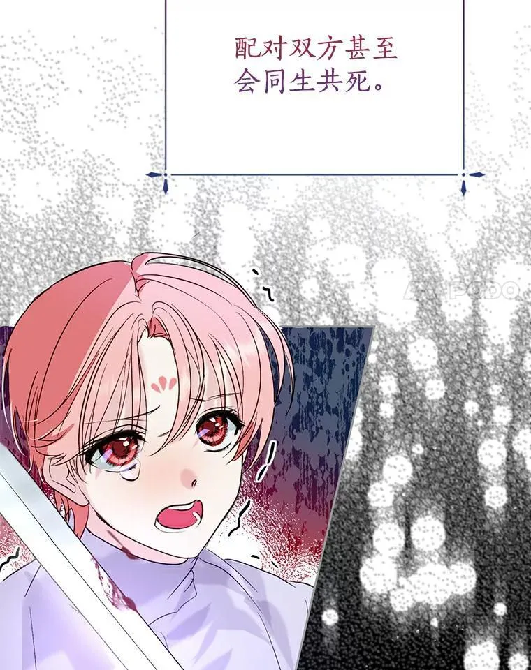 3.配对 第71页