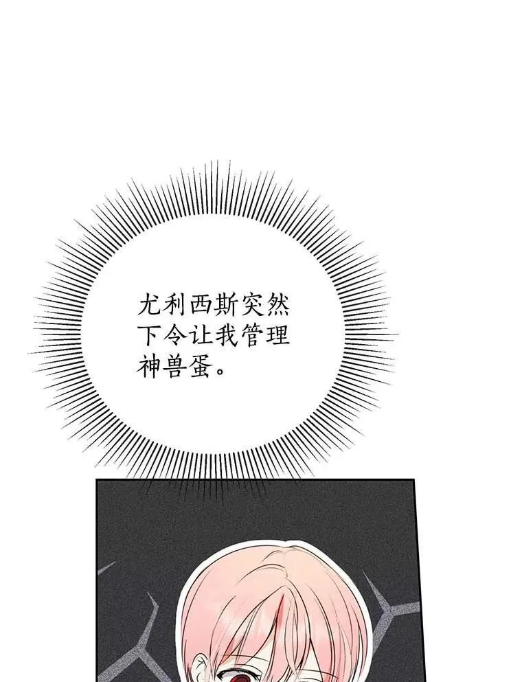 10.神兽管理员 第40页