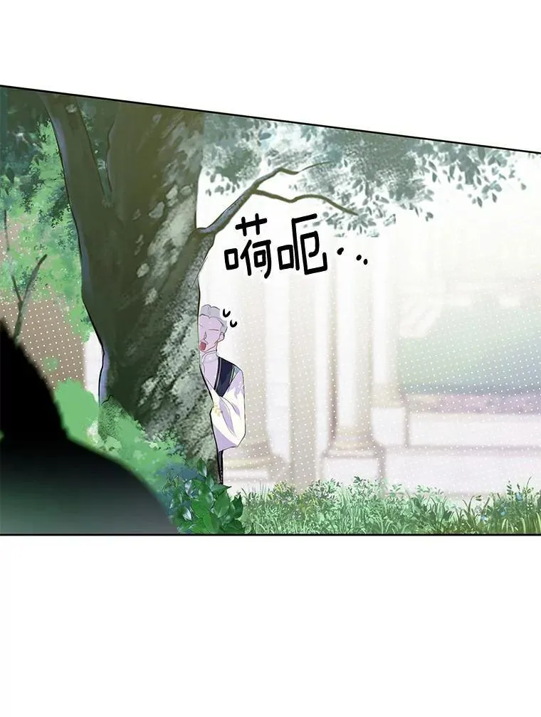 15.元老受伤 第42页