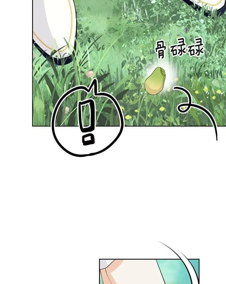 15.元老受伤 第48页