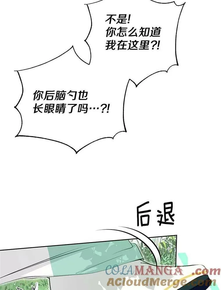 15.元老受伤 第85页