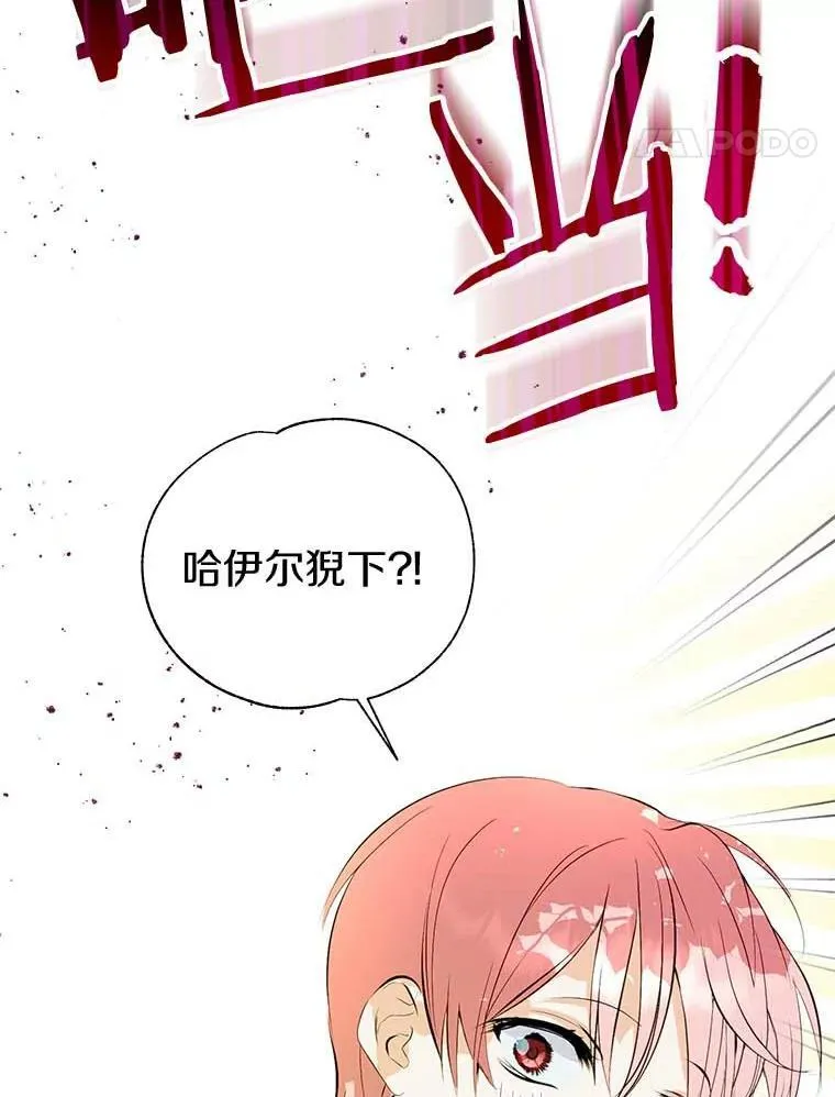 15.元老受伤 第87页