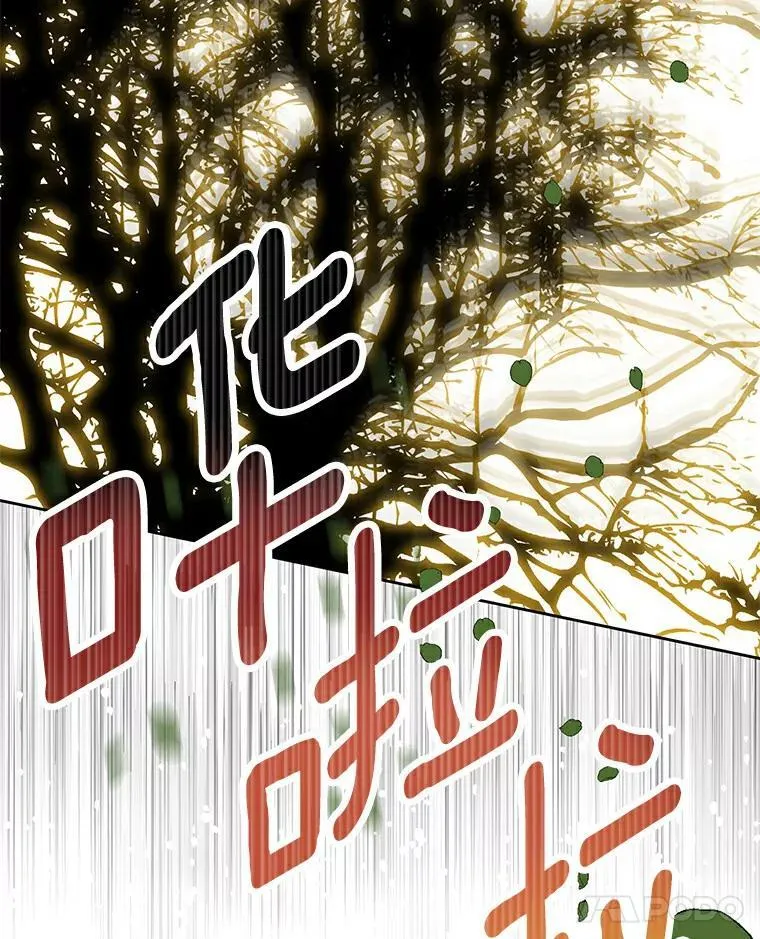 19.带回宝物 第24页