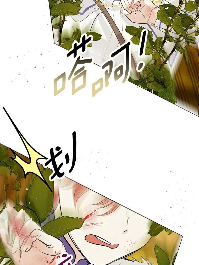 19.带回宝物 第47页