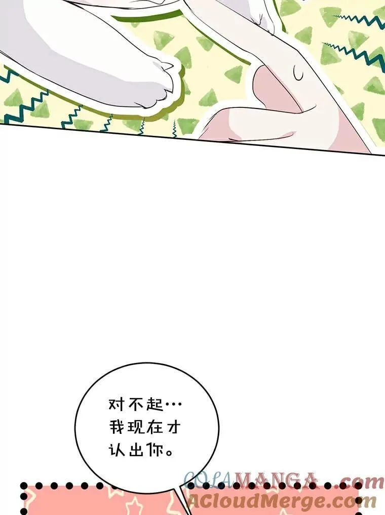21.正式晋升 第13页