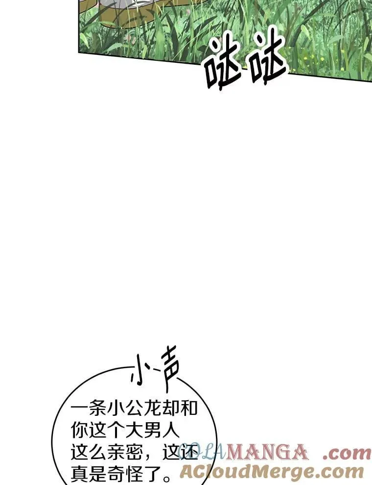 21.正式晋升 第25页