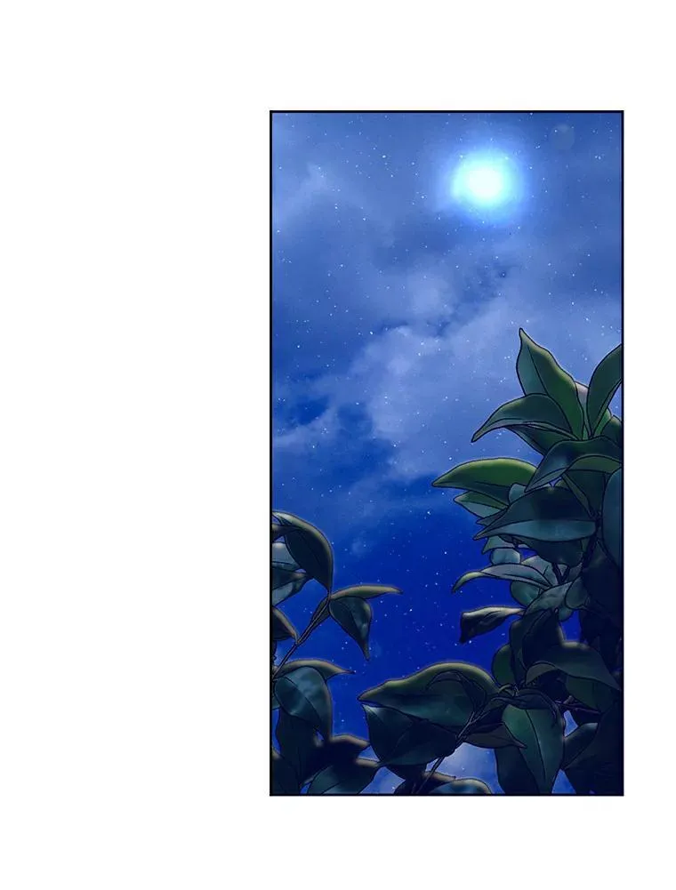 25.安慰 第3页