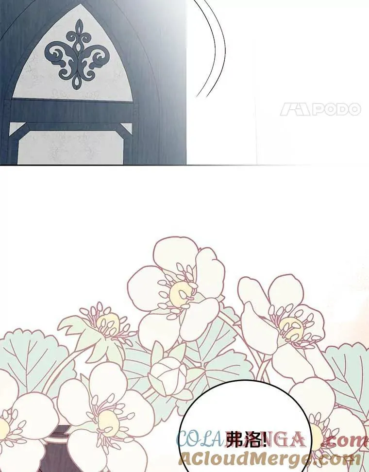 27.梅地亚人 第25页