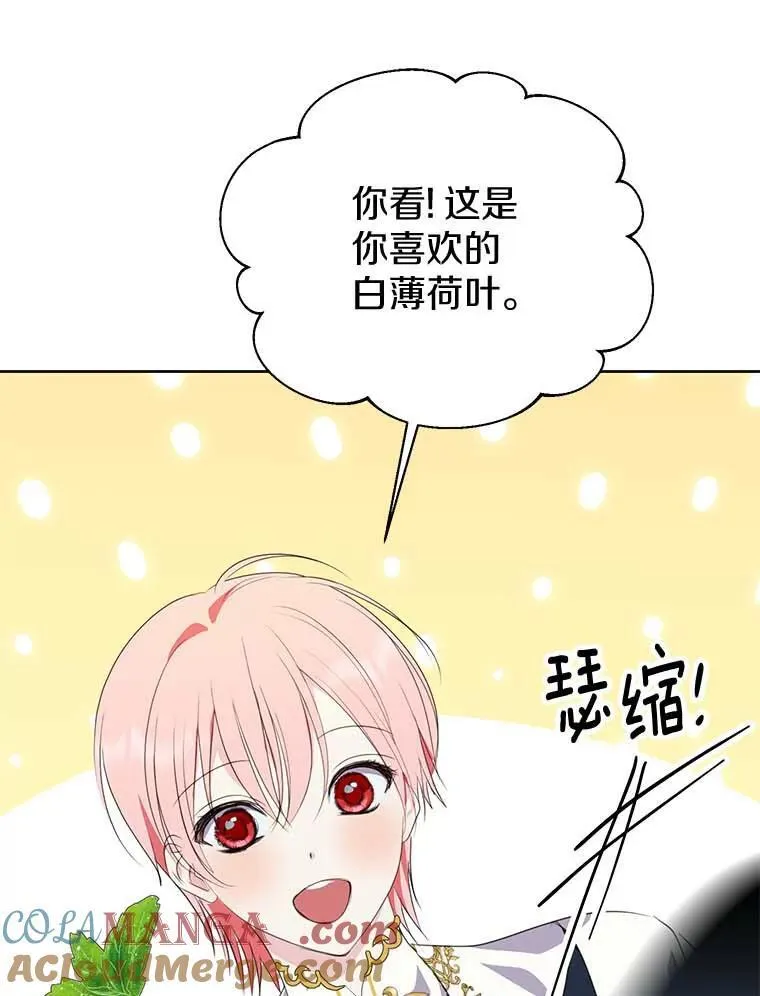 27.梅地亚人 第33页