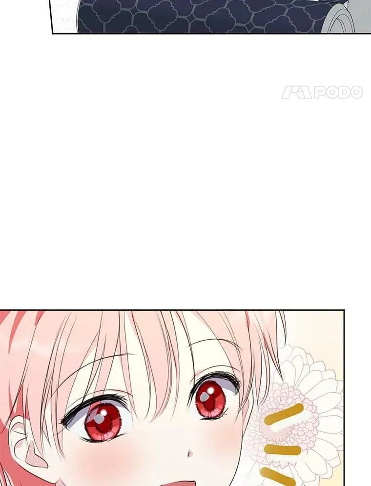 27.梅地亚人 第35页