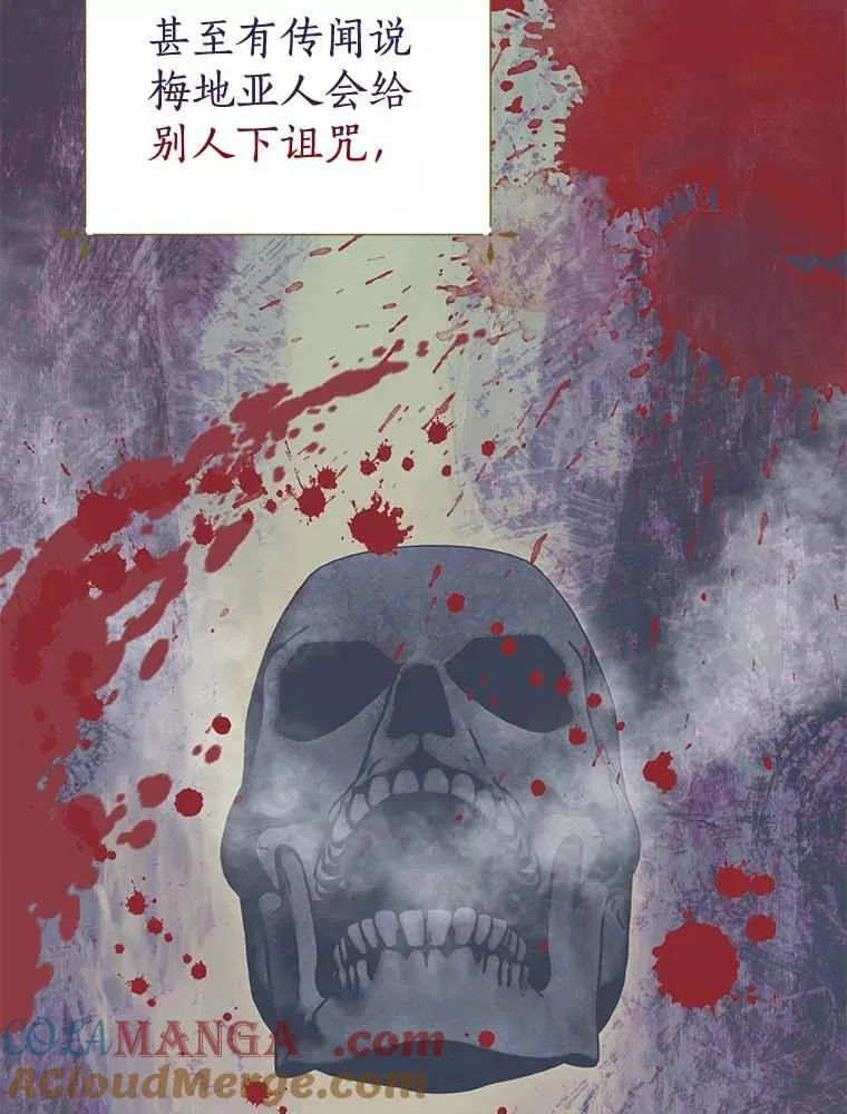 27.梅地亚人 第93页