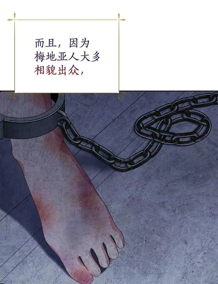 27.梅地亚人 第95页