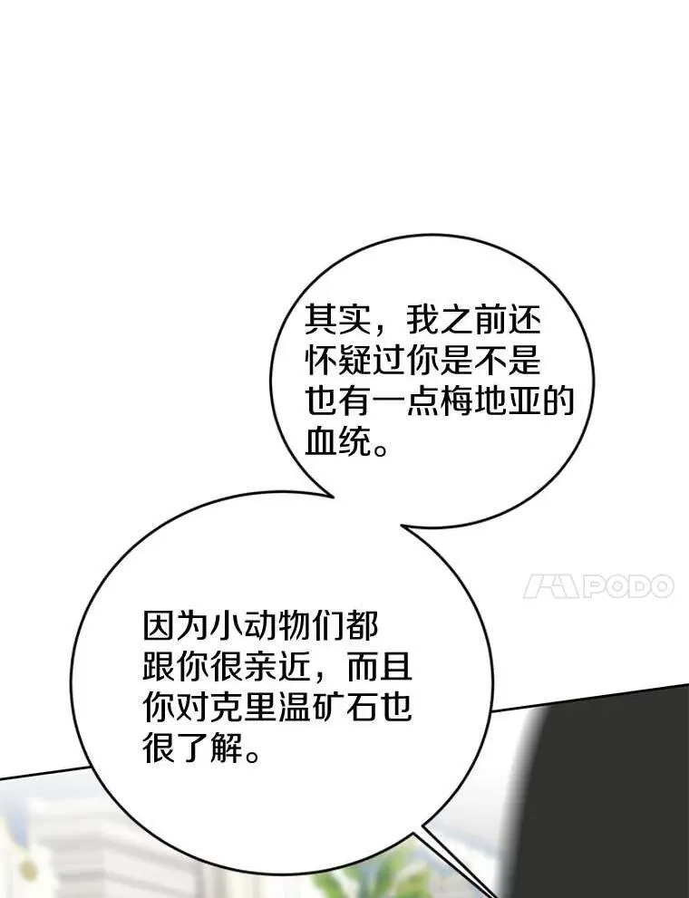 27.梅地亚人 第104页
