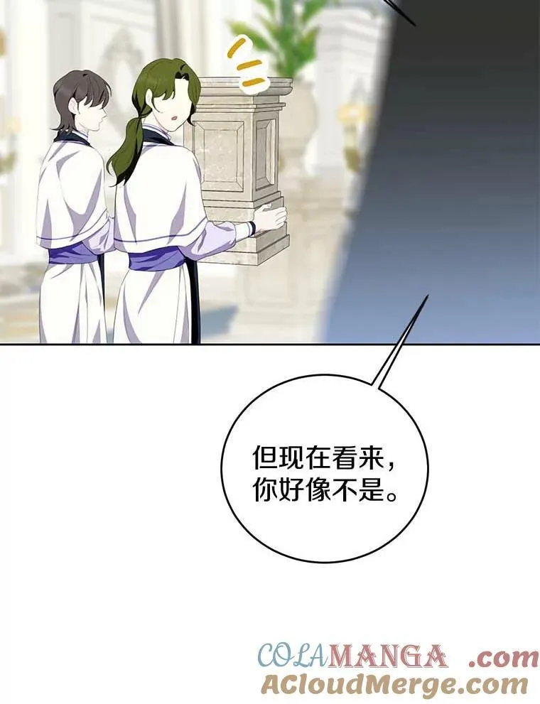 27.梅地亚人 第105页