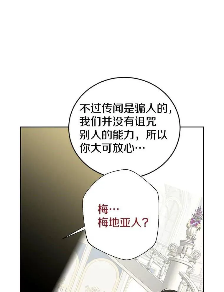 27.梅地亚人 第106页