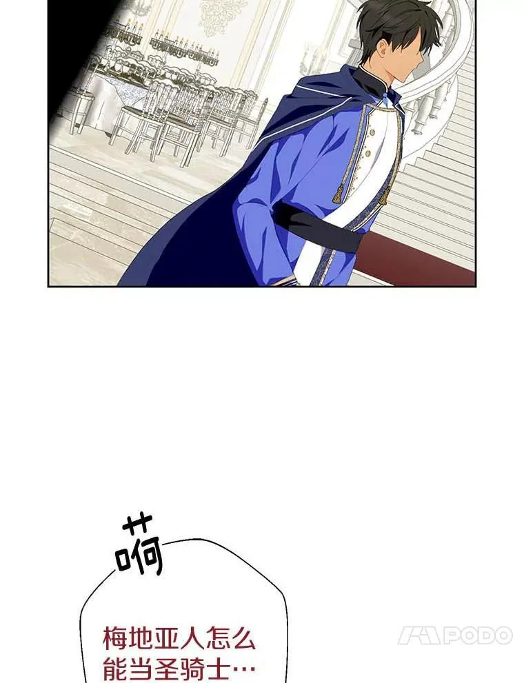 27.梅地亚人 第107页