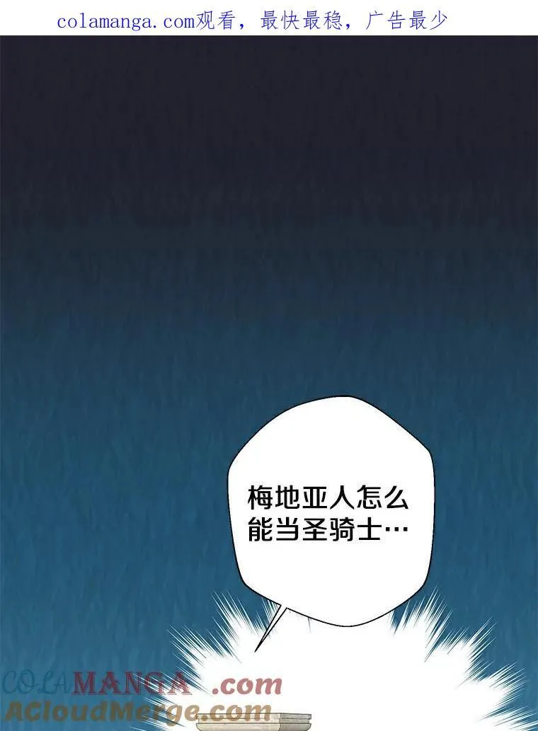 27.梅地亚人 第113页