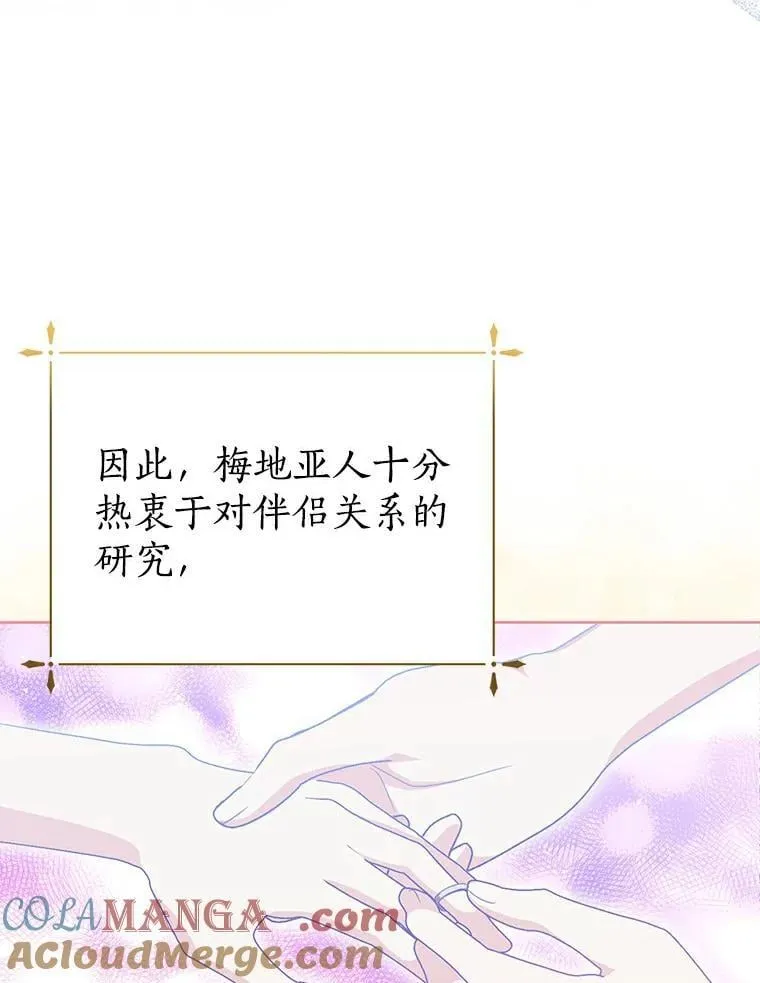 28.生日礼物 第13页