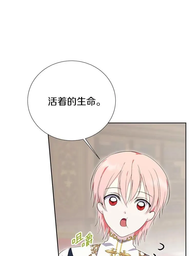 37.解题 第75页