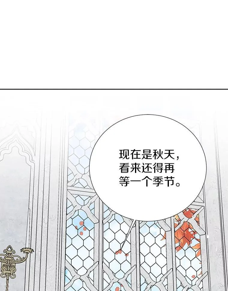 39.回报 第90页
