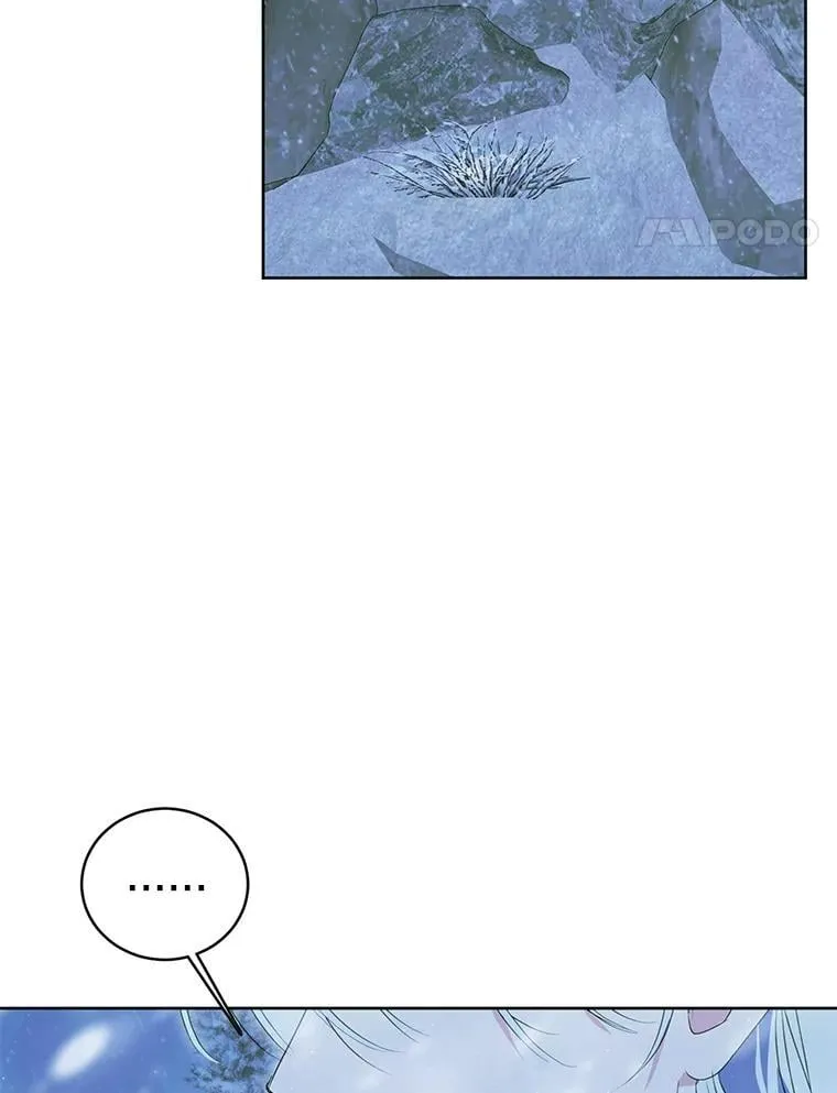 46.异常天气 第20页