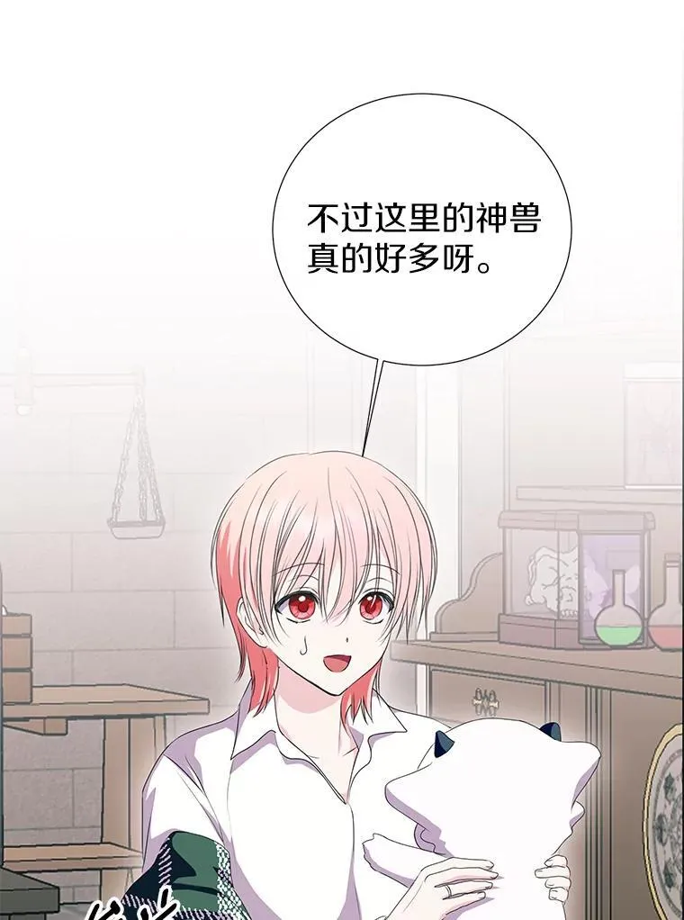 51.另一半资料 第54页