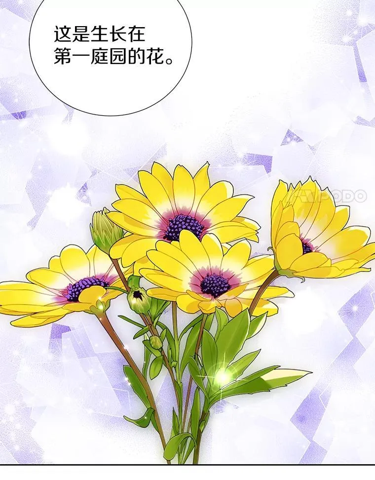 58.假如 第30页