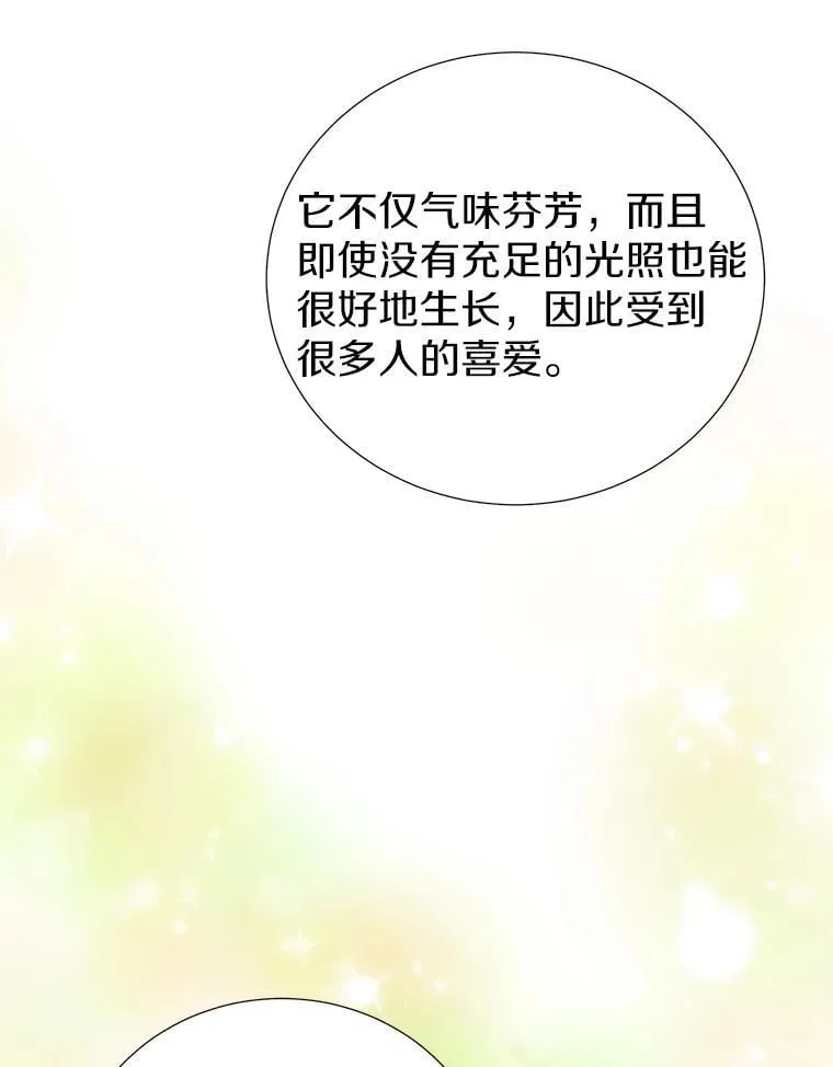 58.假如 第31页