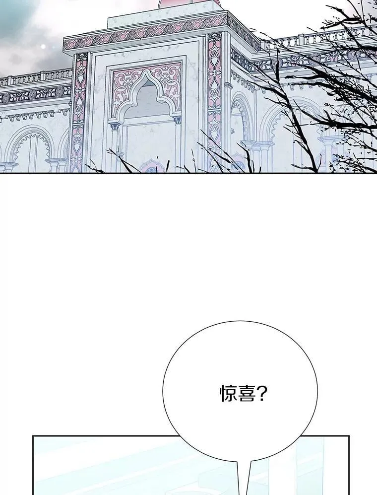 63.准备惊喜 第4页