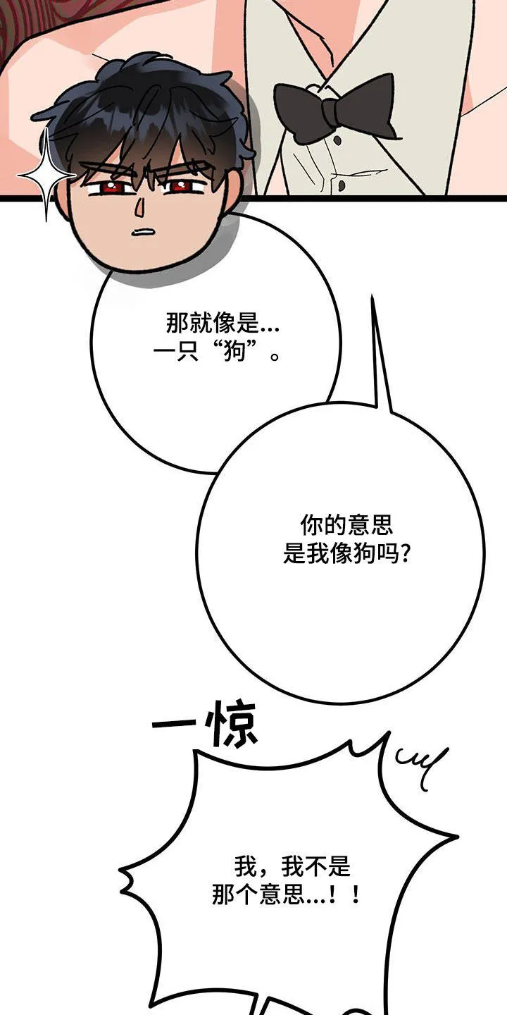 第104章：【番外】珍惜眼前 第11页