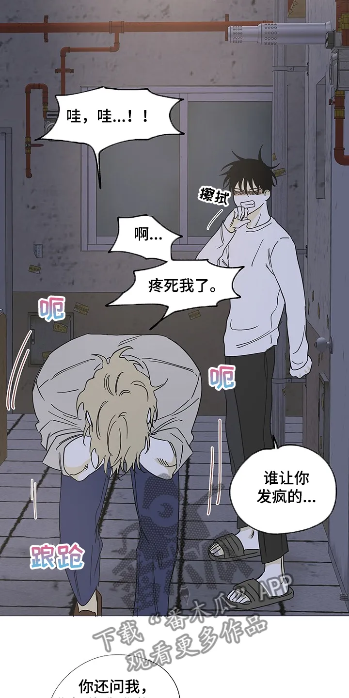 第13章：那个人怎么样 第8页