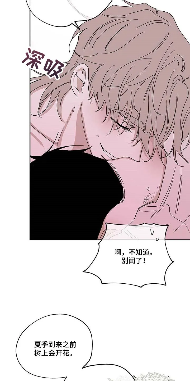 第18章：花香 第17页