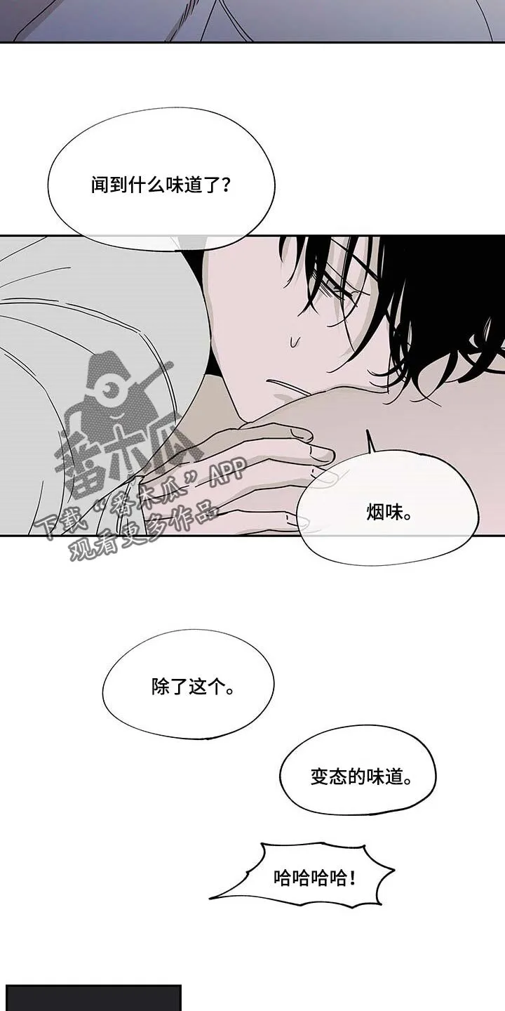 第19章：味道 第11页