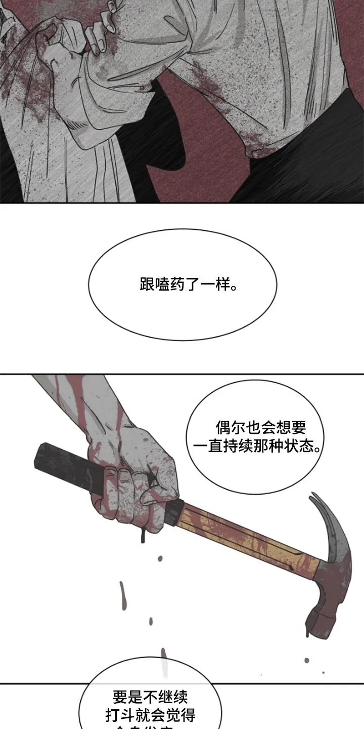 第31章：驯化 第4页