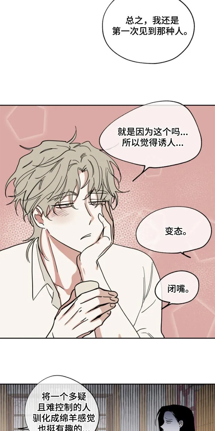 第31章：驯化 第17页