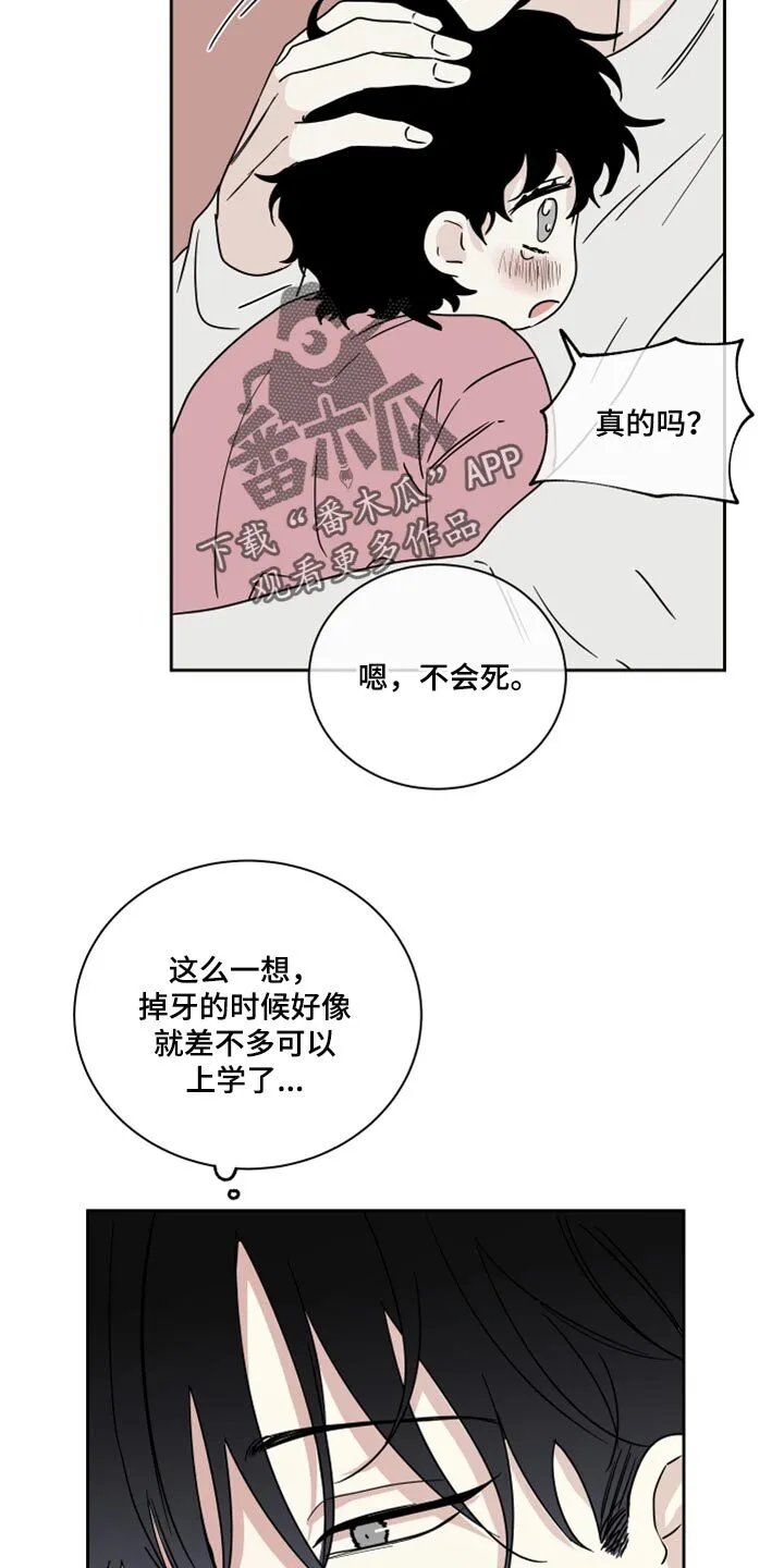 第37章：掉牙 第17页