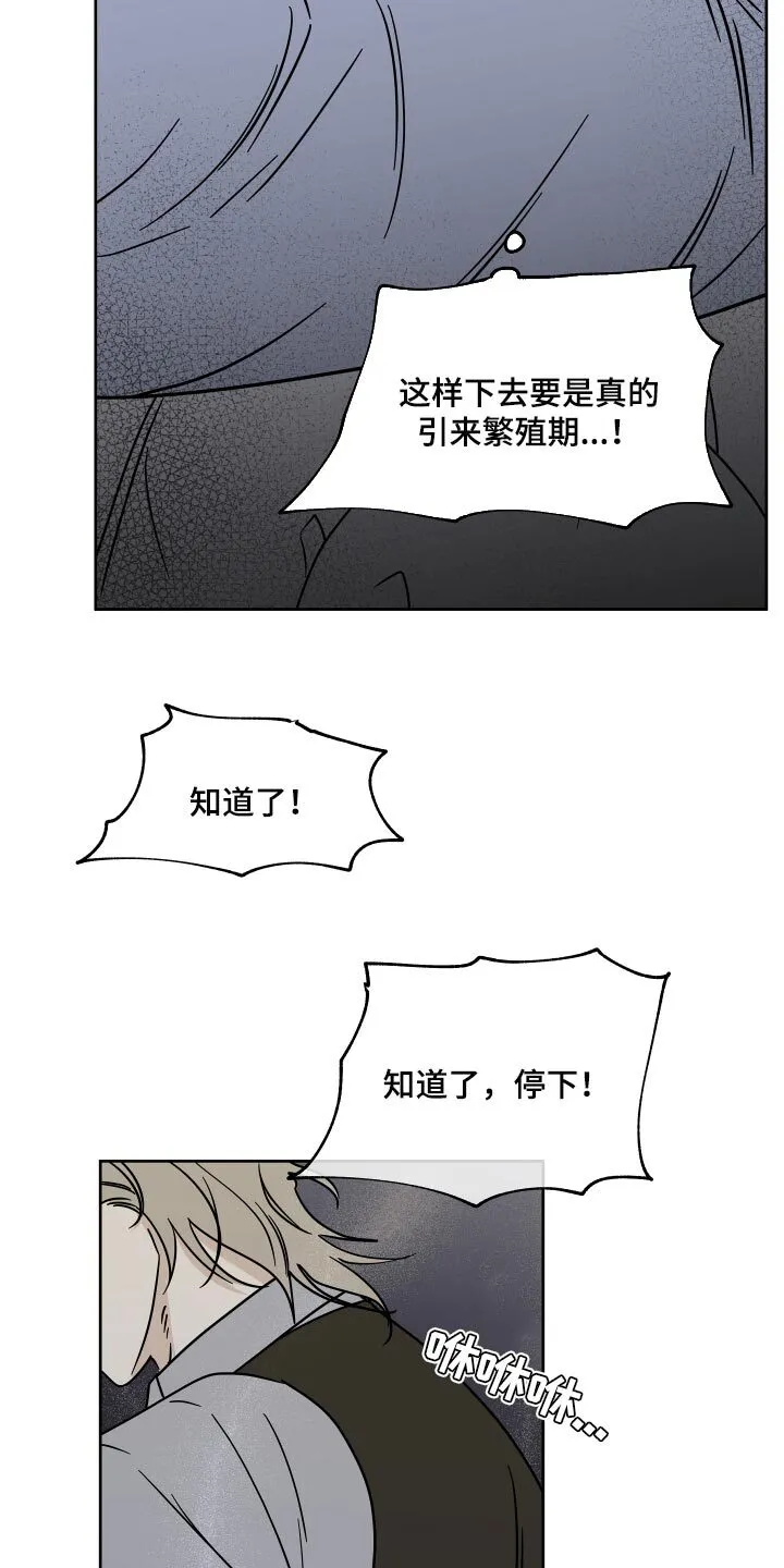 第41章：被骗了 第15页