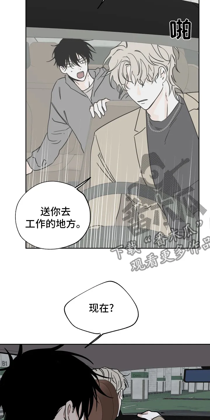 第46章：反正都要去 第13页