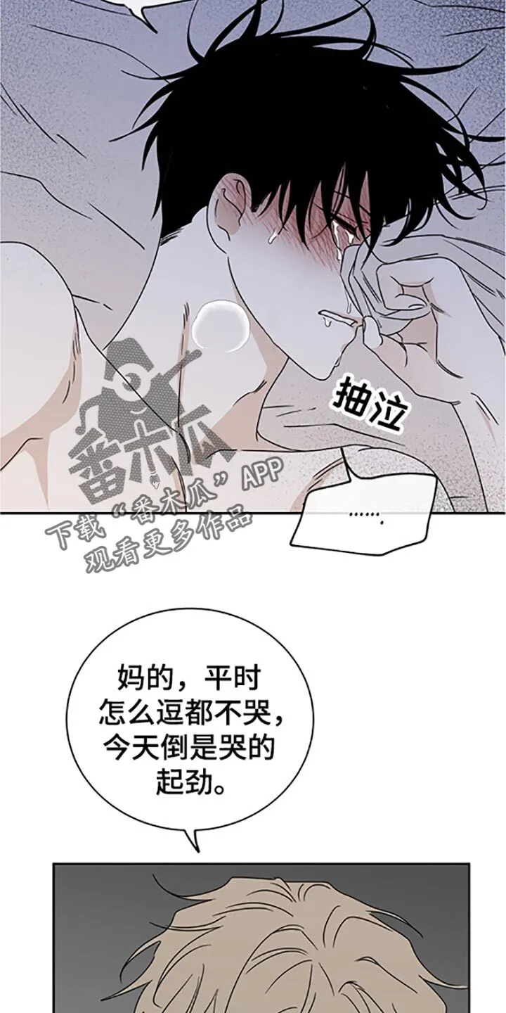 第55章：隐隐约约的哭着 第11页