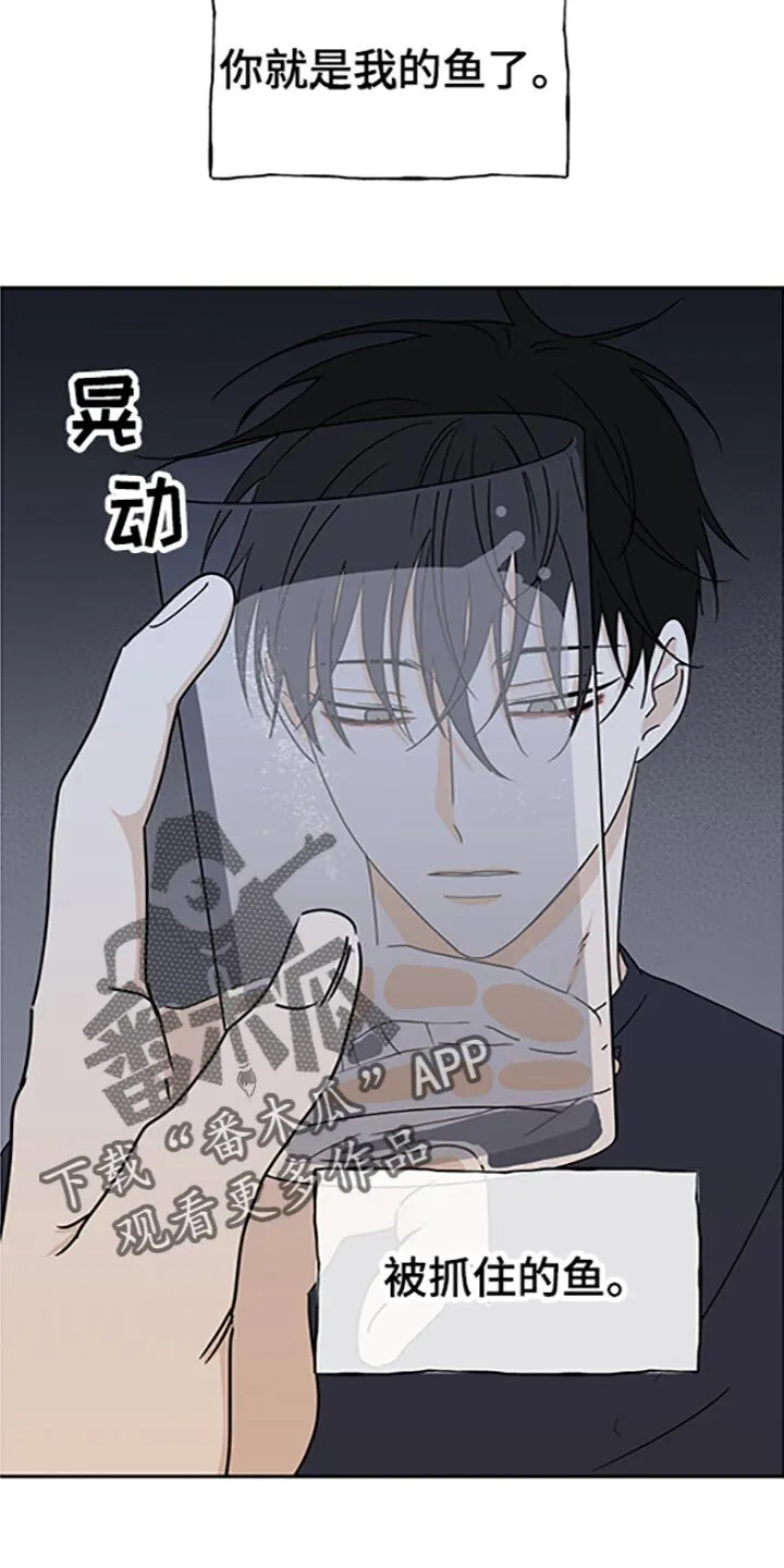 第58章：被抓住的鱼（第一季完结） 第21页