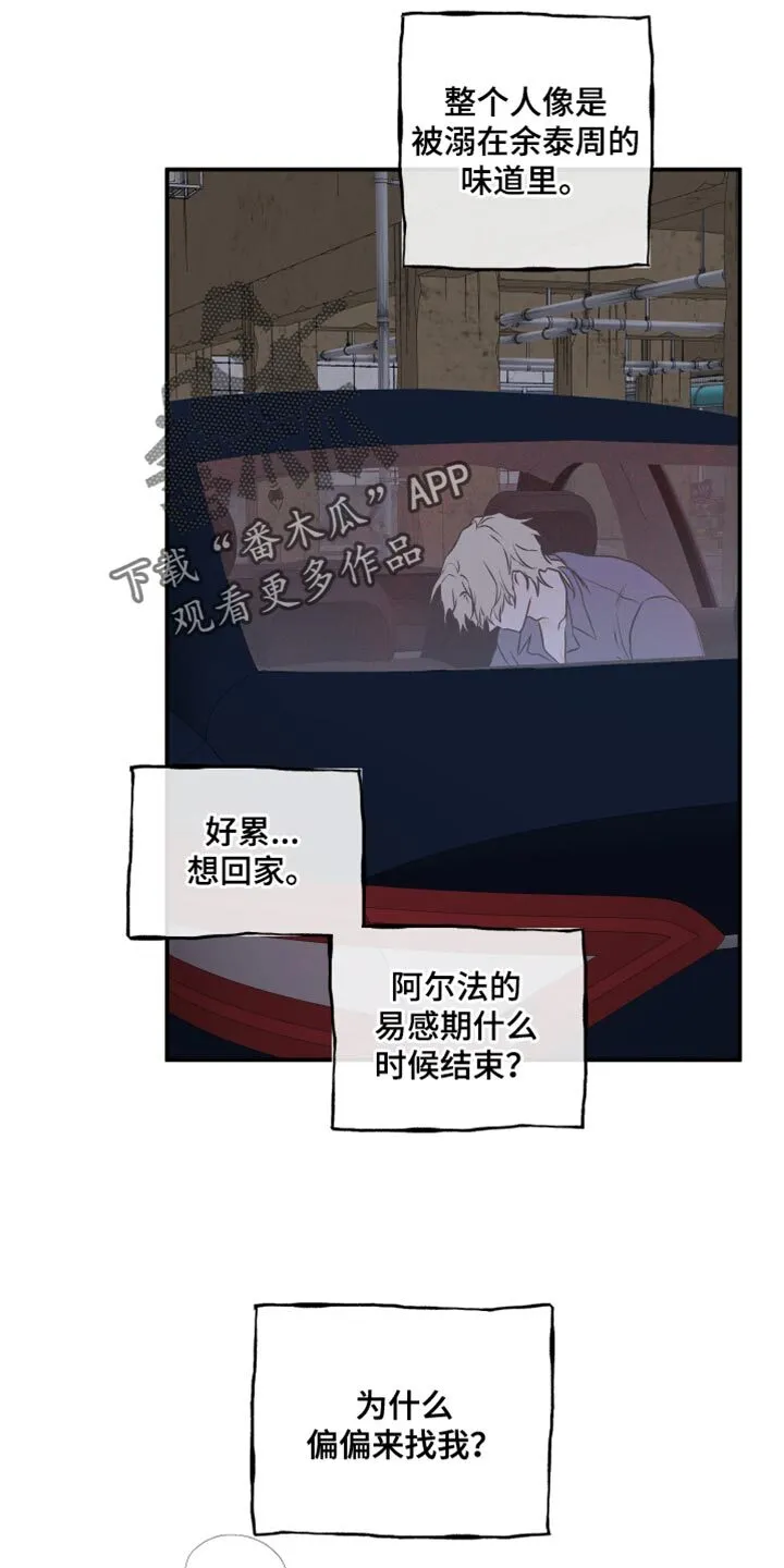 第109章：【第二季】我不可以没有你 第6页