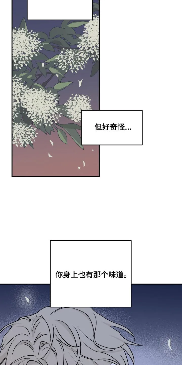 第135章：【第二季】相似的味道 第14页