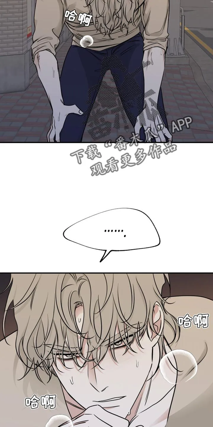 第156章：【第三季】天黑了 第5页