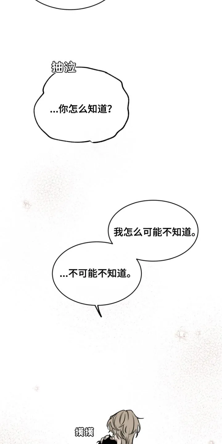 第158章：【第三季】我怎么可能不知道 第10页