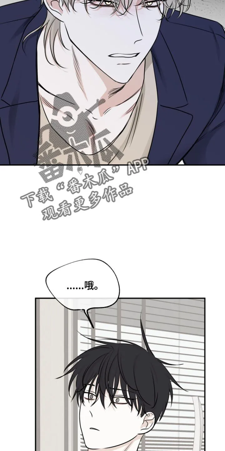 第164章：【第三季】一起生活 第12页