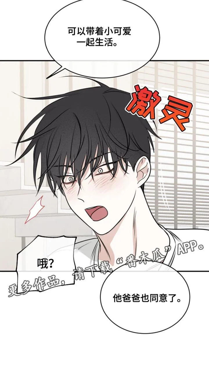 第164章：【第三季】一起生活 第20页