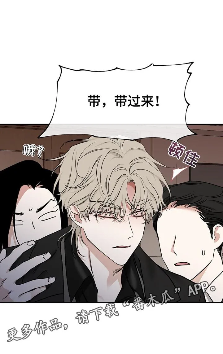 第194章：【第三季】我问你他在哪 第17页