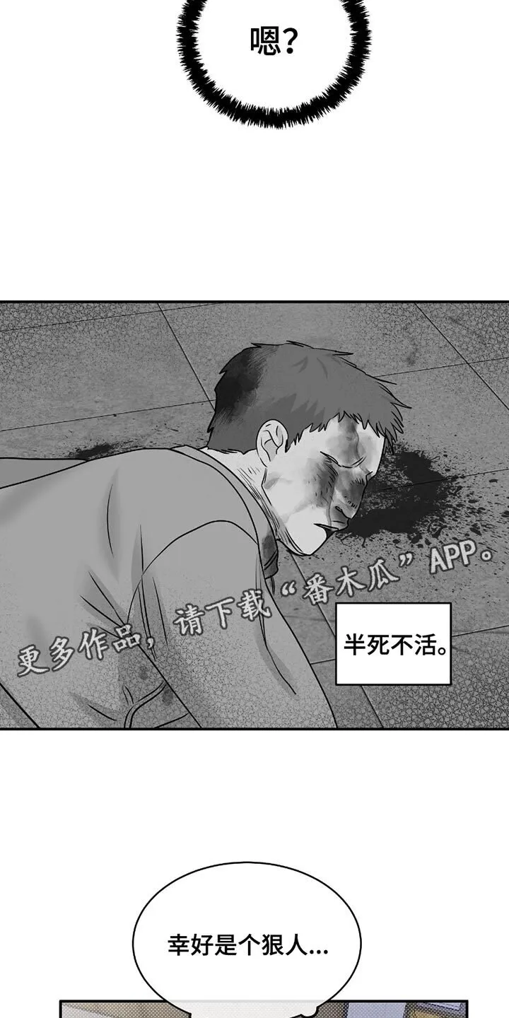 第202章：【第三季】幸好是个狠人 第14页